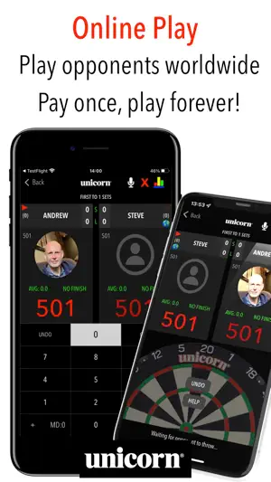 Russ Bray Darts Scorer Pro screenshot 3