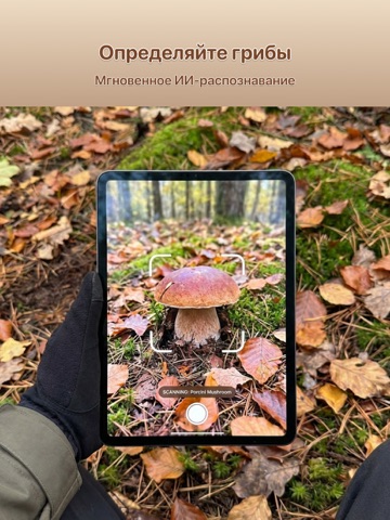 Грибы: Определитель iPad screenshot 1
