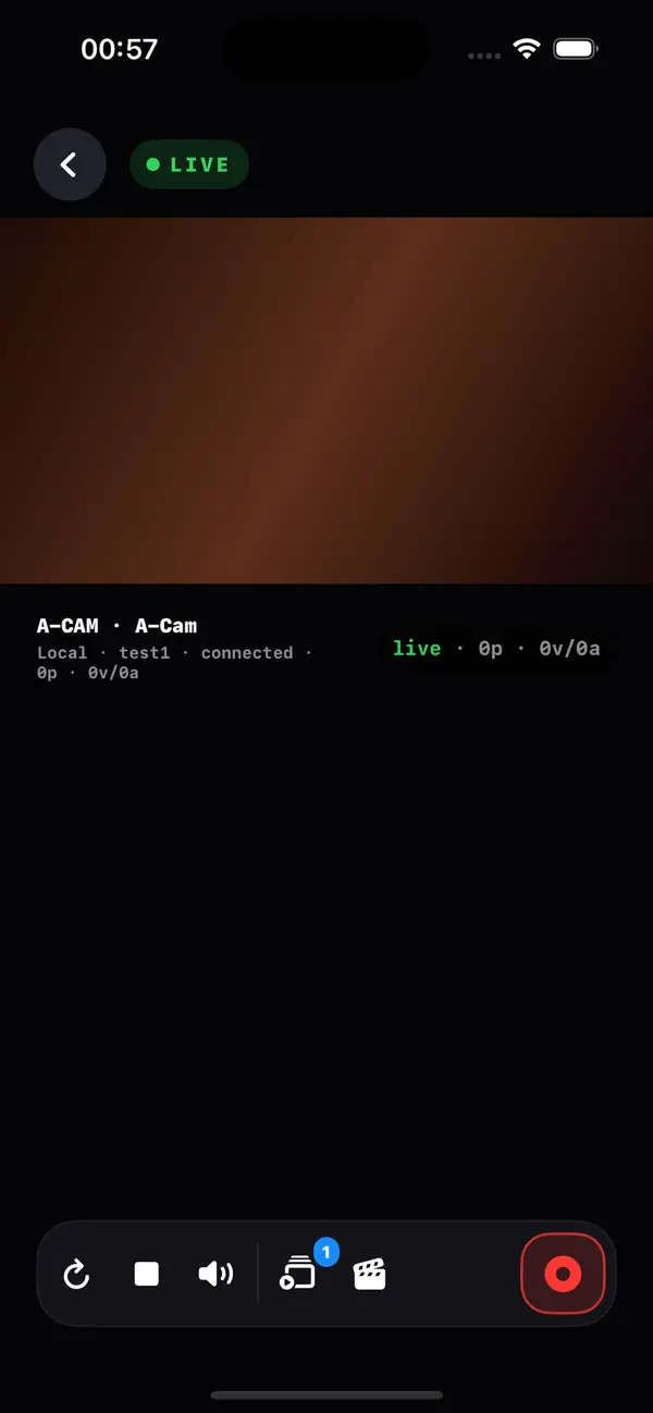 Screenshot #2 pour OktoStream