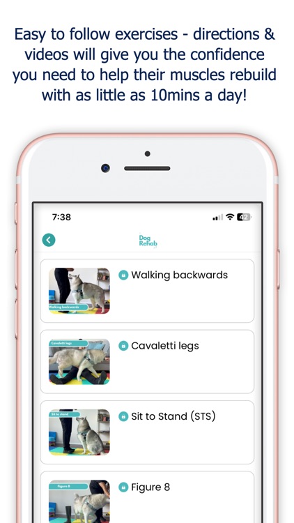 The Dog Rehab App