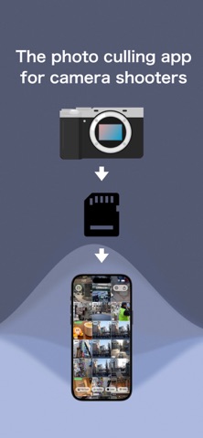 BridgeLite screenshot