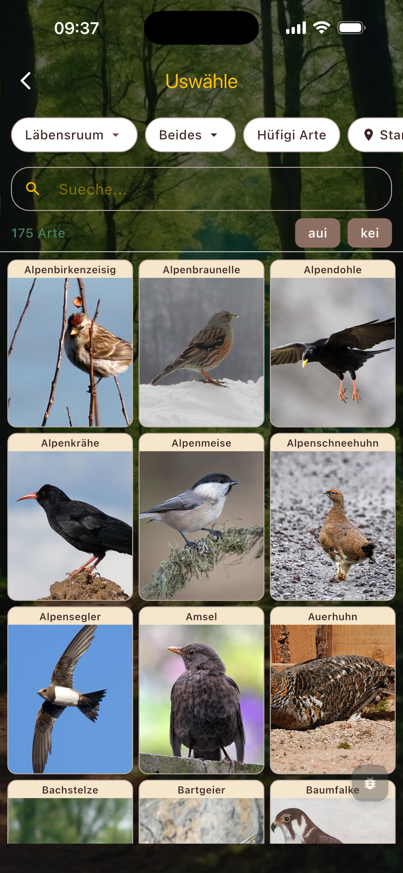 Amslegsang screenshot 4