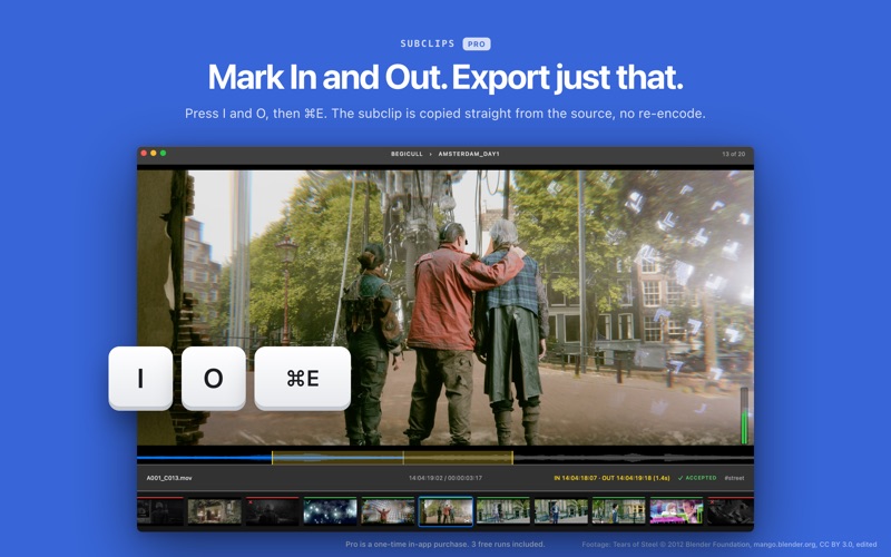 BegiCull: Fast Video Culling screenshot 3