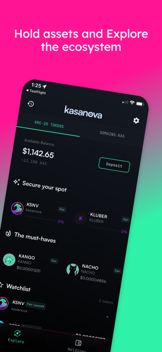 Kasanova - The Kaspa Wallet Screenshot 2 of 4