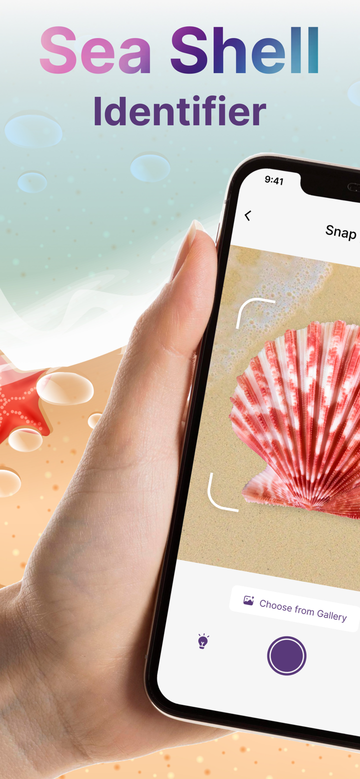 Conchology Identifier screenshot 1