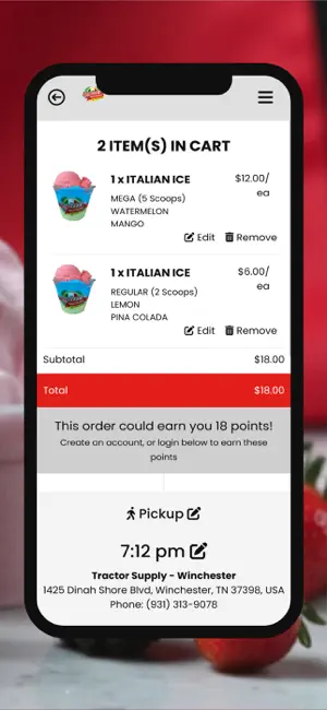 Repicci's Italian Ice screenshot 4