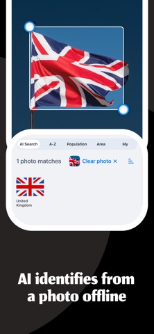 FlagSearch screenshot