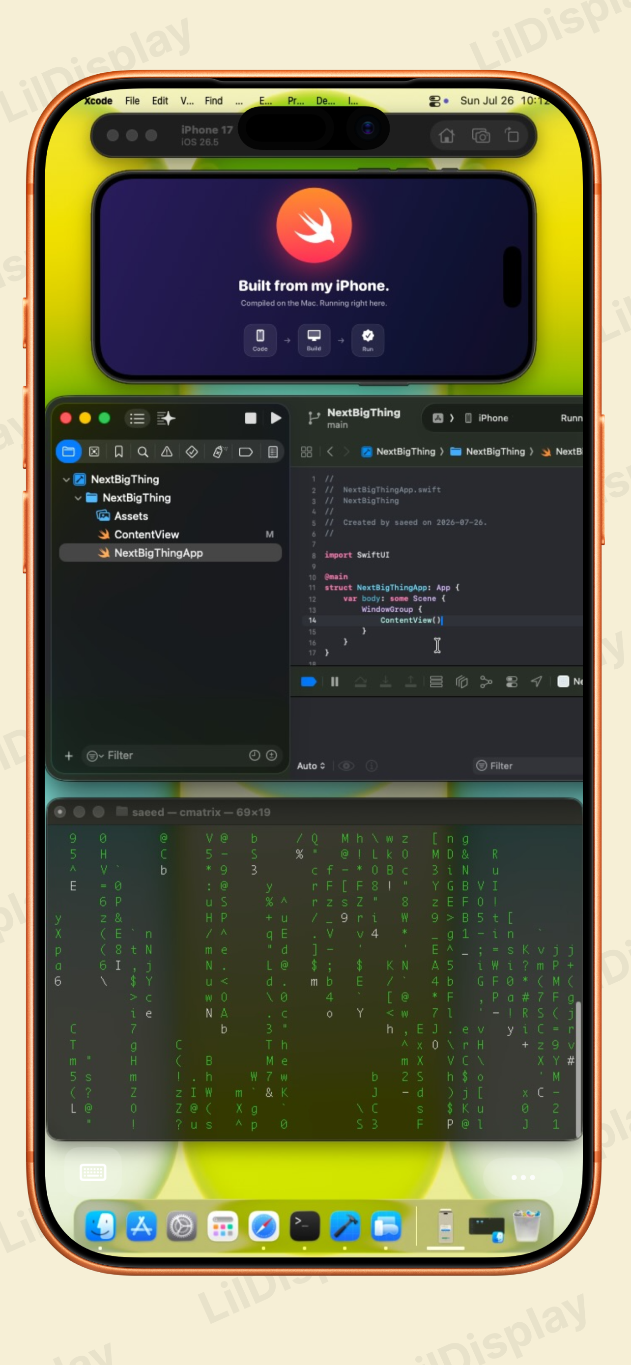 LilDisplay screenshot 4