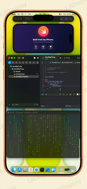 LilDisplay screenshot 4