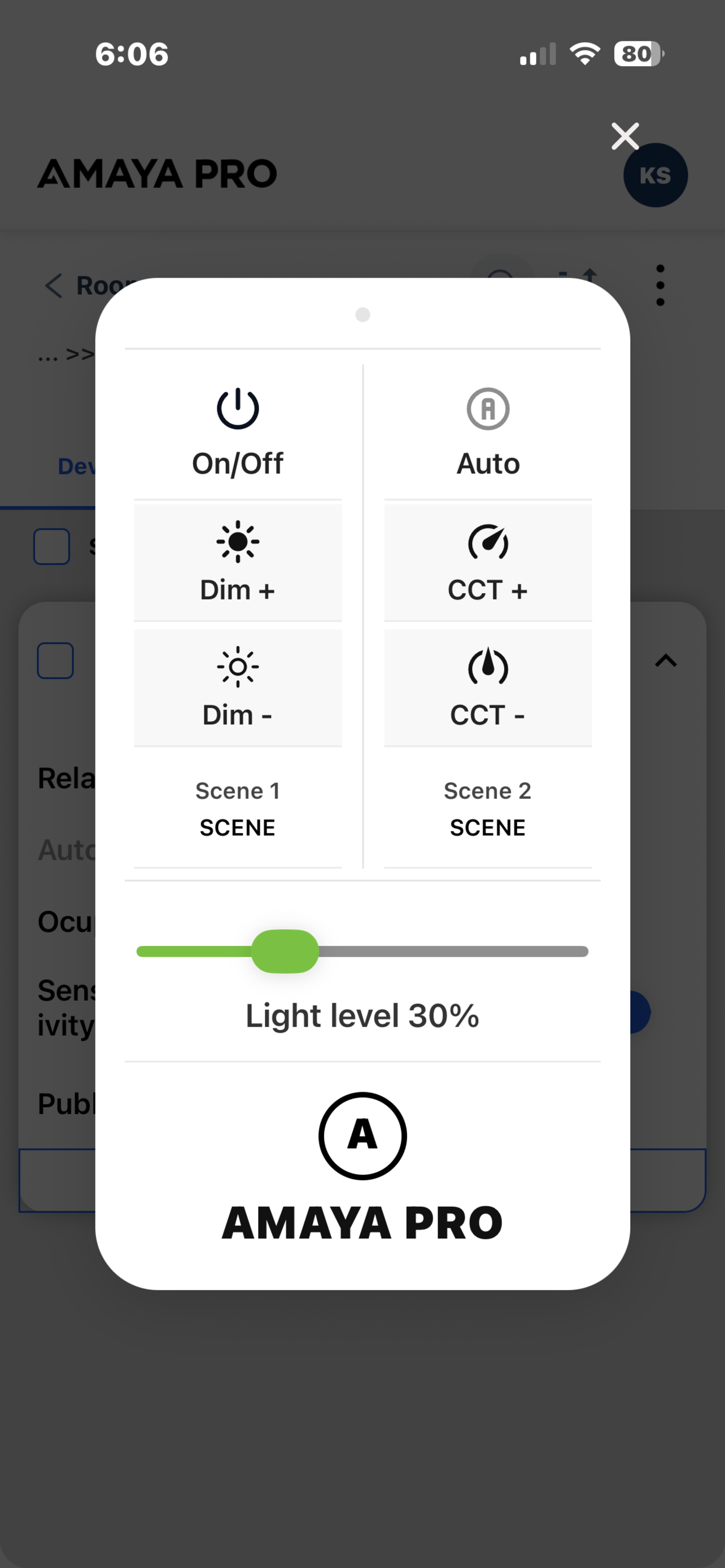 Amaya Pro screenshot 8
