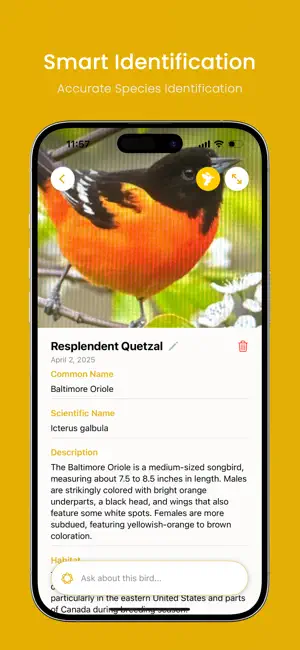 Bird Identifier AI: Bird ID screenshot 2