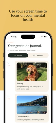 Gratitude Lock: Daily Journal Screenshot 3 of 9