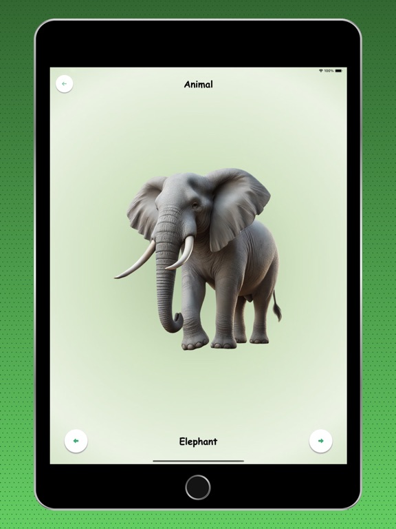 Screenshot #5 pour Kids Learning & Quiz