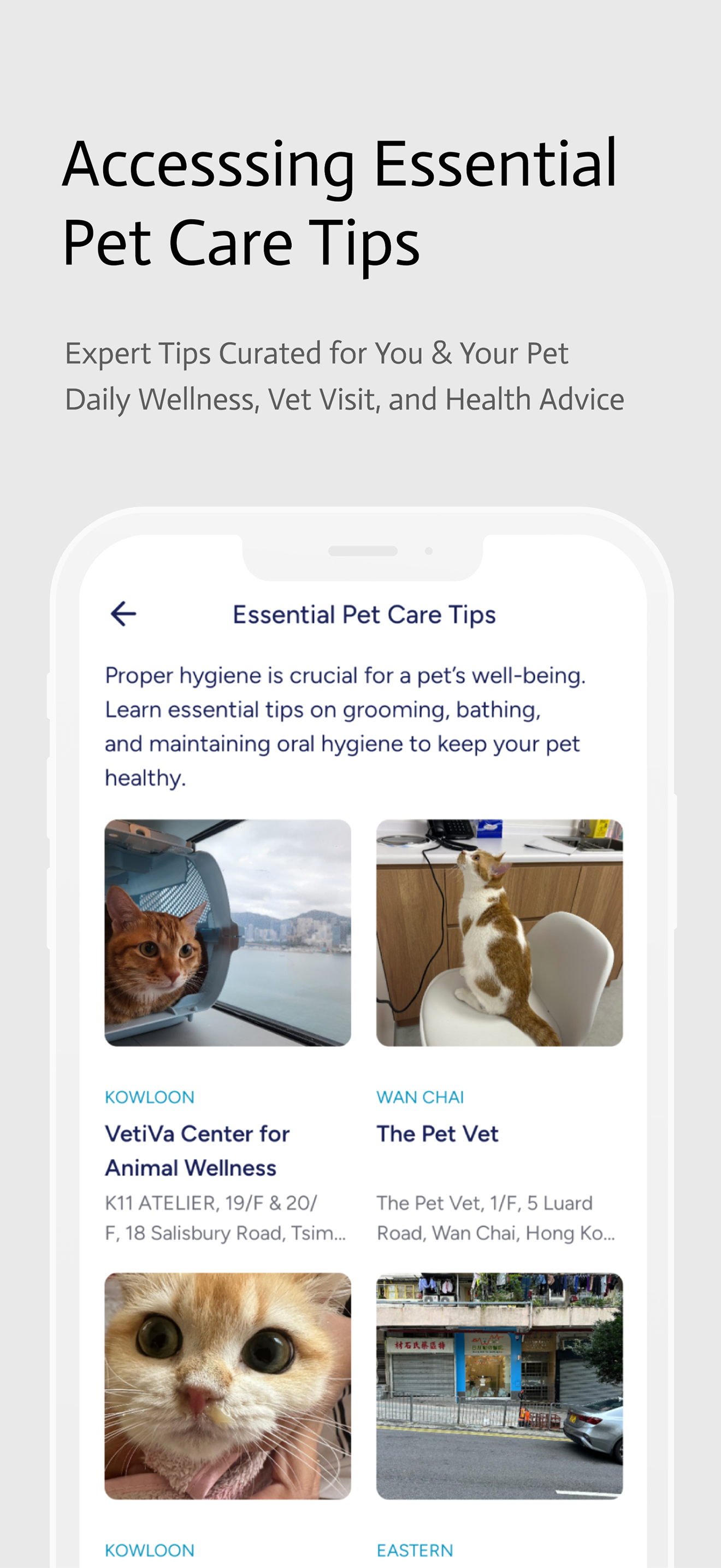 HKPA - Hong Kong Pet Advisors