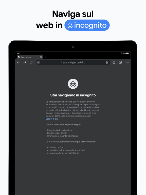 Google Chrome App Store preview screenshot 16