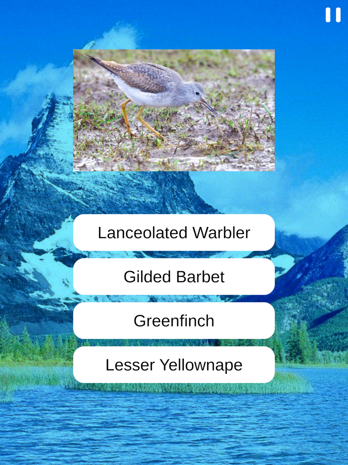 Birds Quiz and Learn