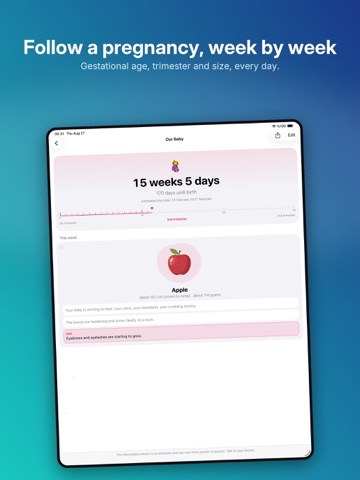 Ticounter: Day Counter Widget iPad screenshot