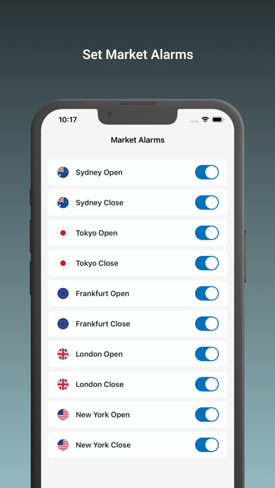 Forex Market Hours Screenshot