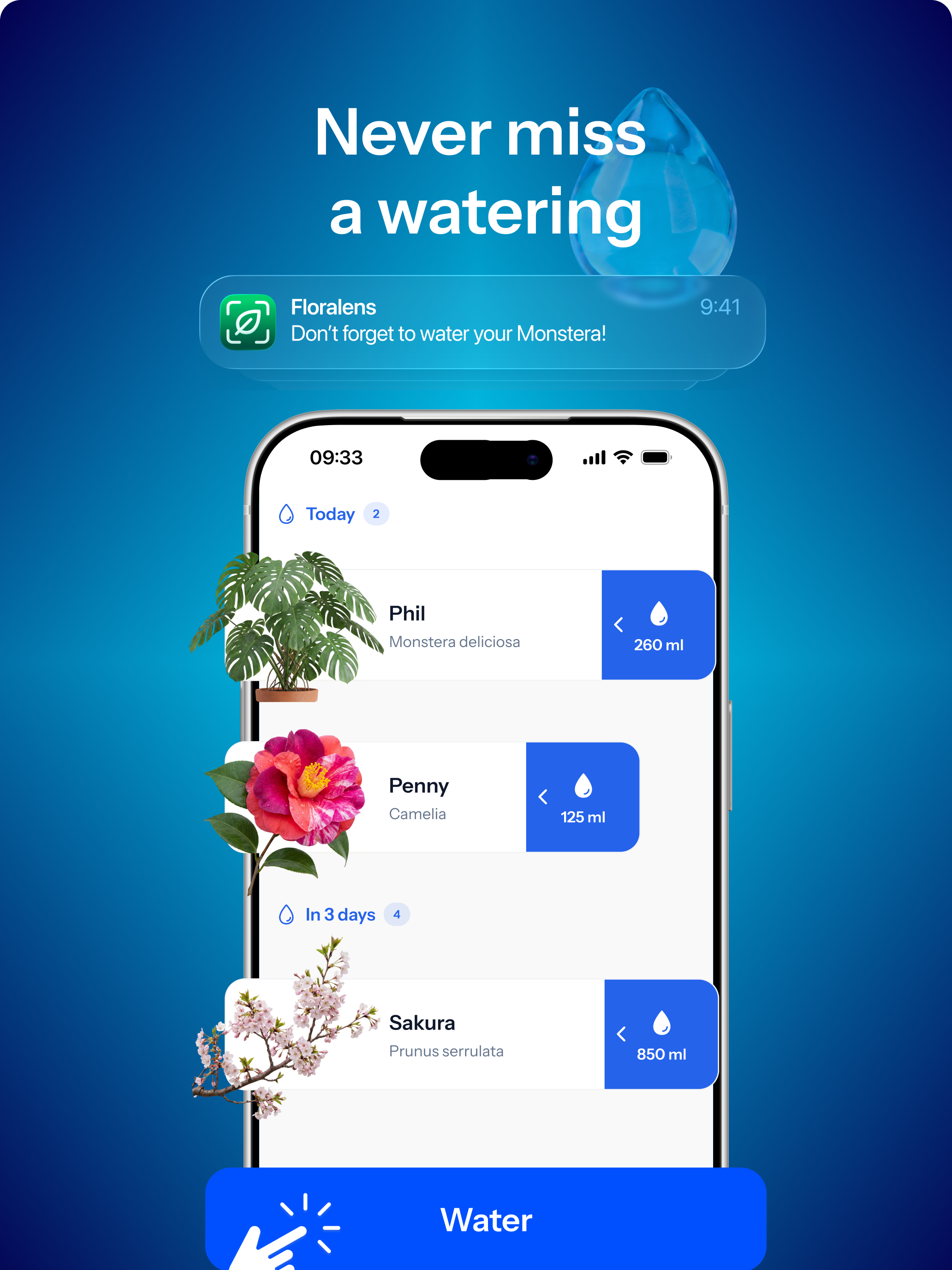 Floralens: Identify Plants