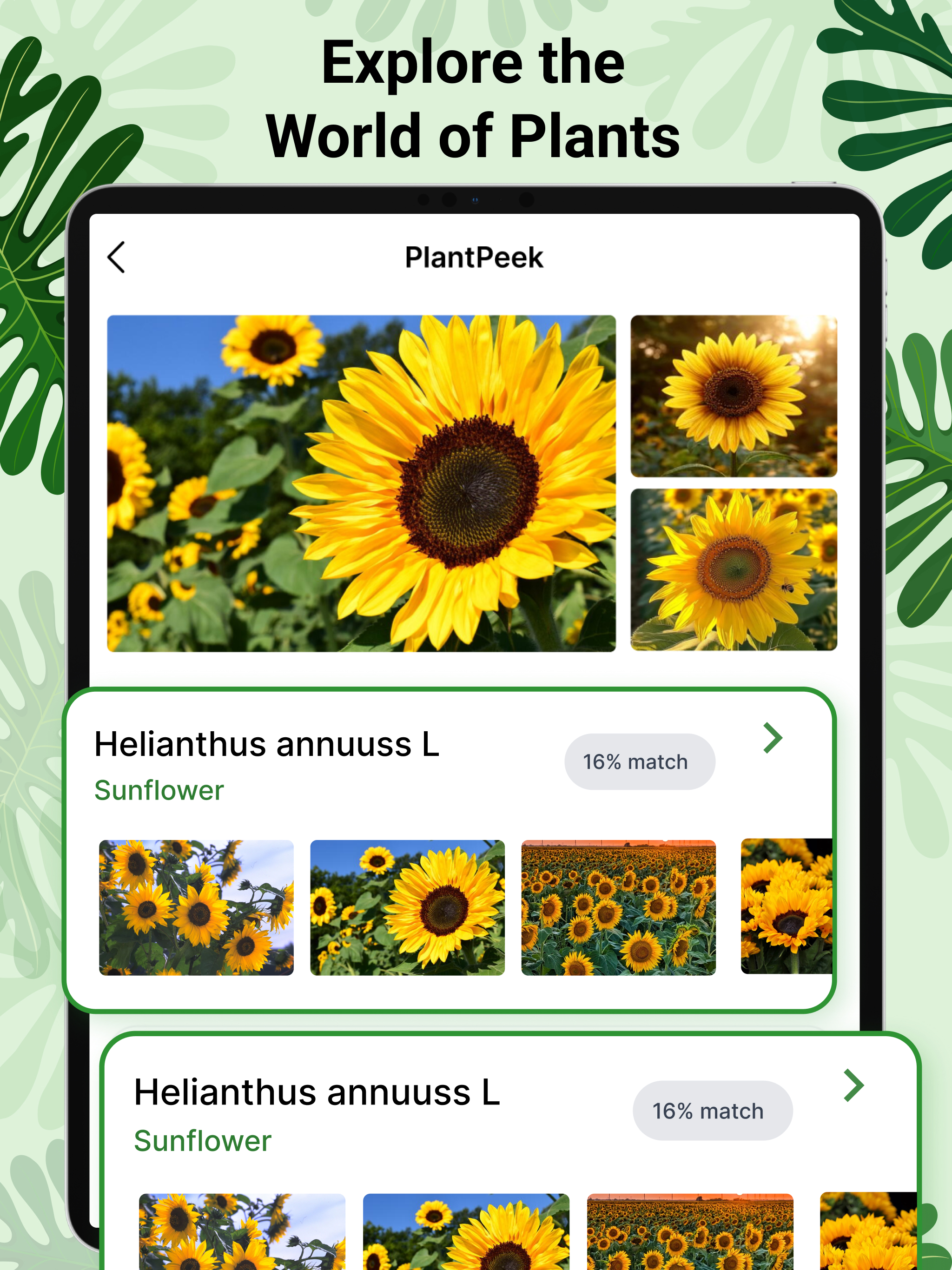 Plant ID: Identify Plants AI