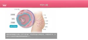 孕期助手-备孕怀孕孕期育儿妈妈必备 screenshot 3