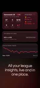 FPL Mini-League Prize Tracker screenshot