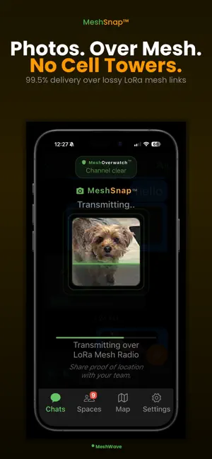 MeshWave screenshot 3