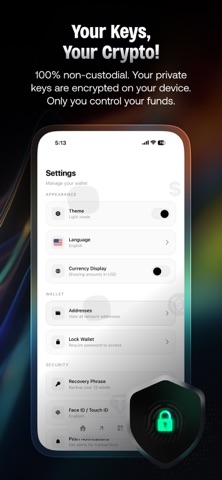 VELO: Bitcoin & USDT Wallet iPhone screenshot