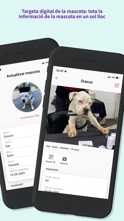 gosguapos screenshot-5