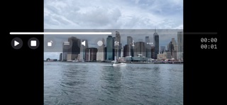 IsPlayer screenshot