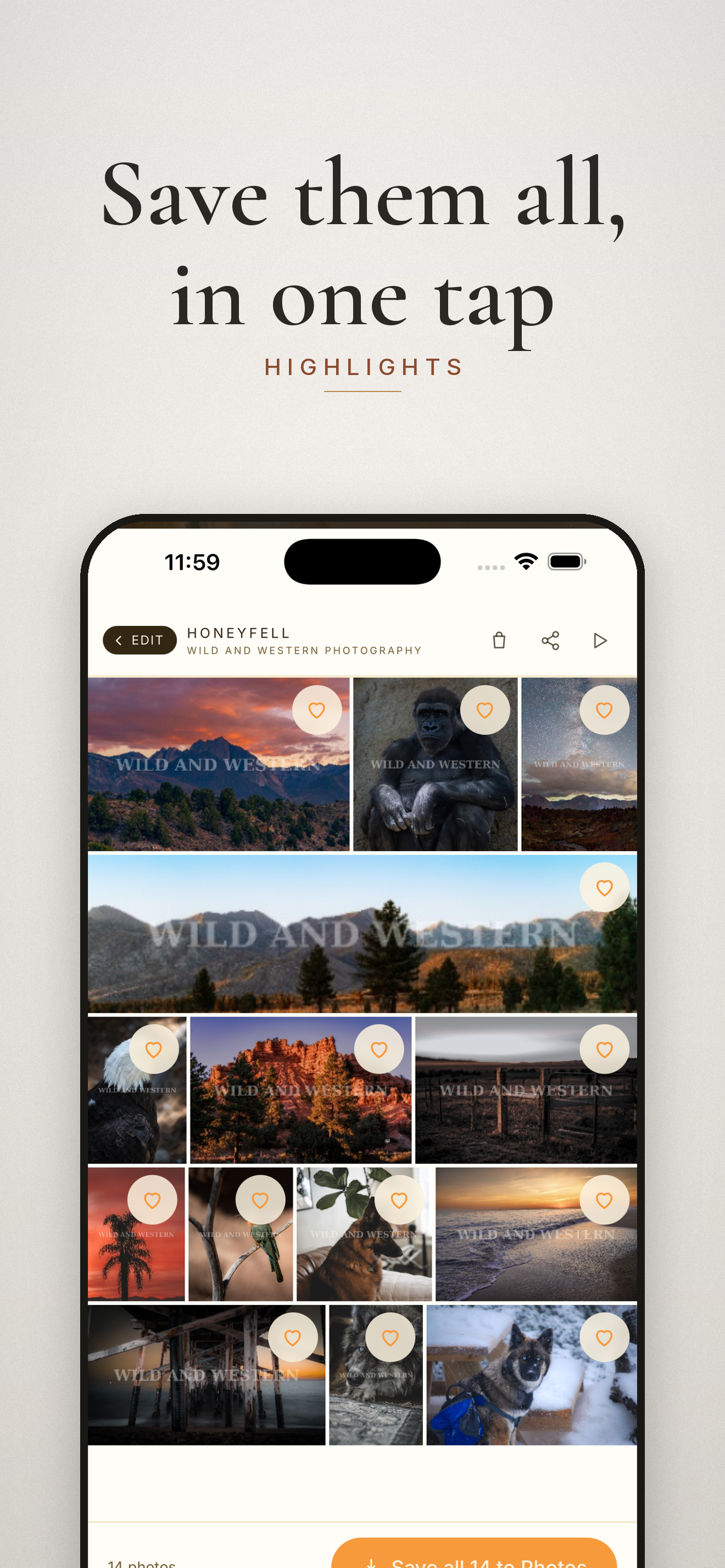 Honeyfell: Photographer CRM screenshot 4