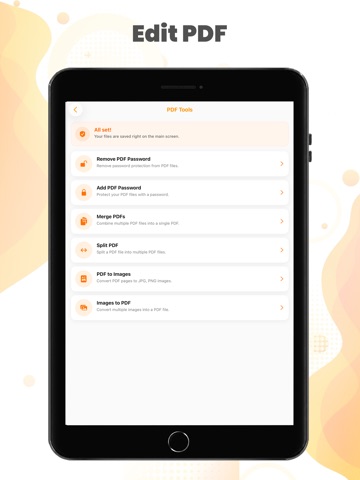 File Manager : Documents iPad screenshot