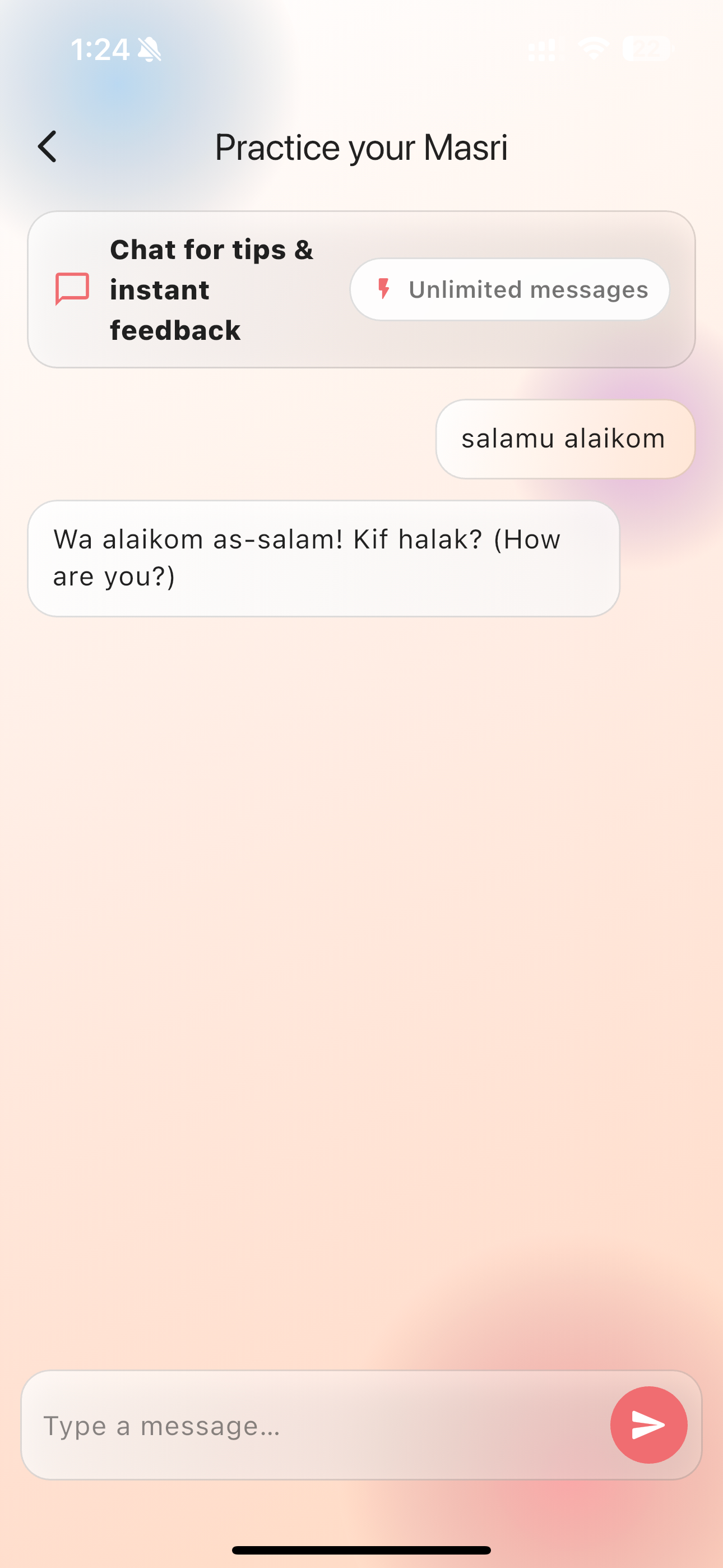 Egyptian Translator
