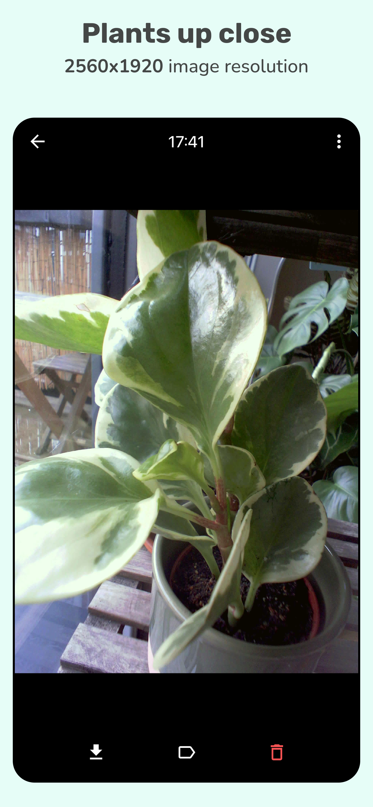 PlantCam Timelapse Camera screenshot 6