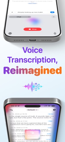 VivaDicta - Audio to Text screenshot