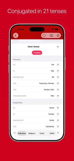 Portuguese Verb Conjugator Pro screenshot 3