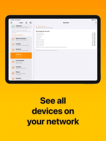 Loupe: What Apps Can See iPad screenshot 6