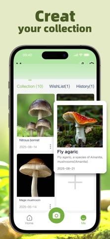MushroomAiSnap- AI MushroomID screenshot
