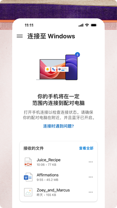 连接至 Windows screenshot