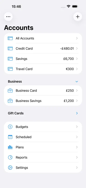 Debit & Credit screenshot 1 of 7