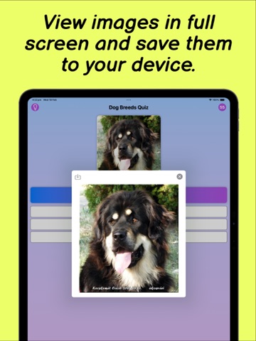 Dog Breeds Quiz iPad screenshot