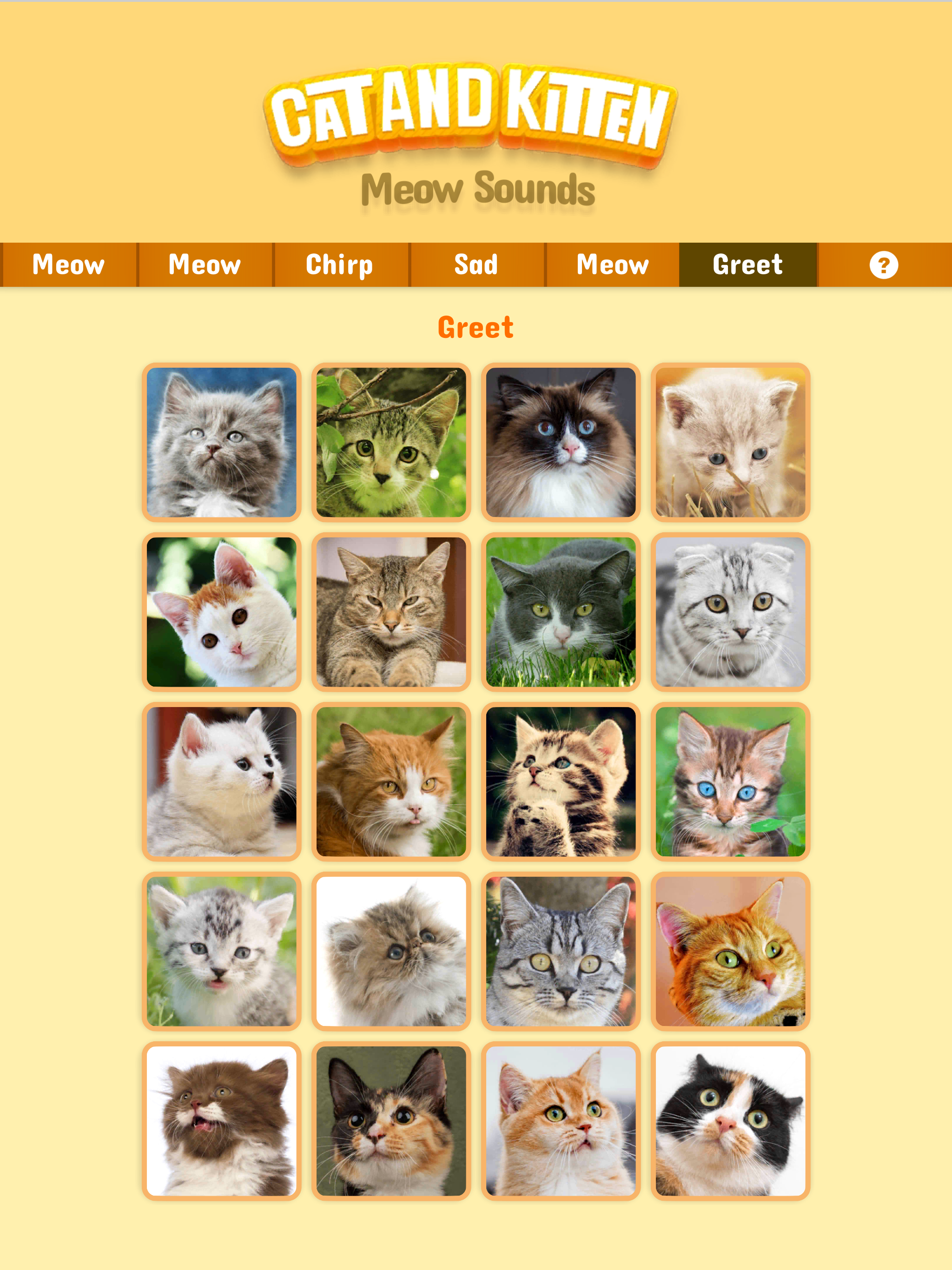 Cat & Kitten Meow Sounds