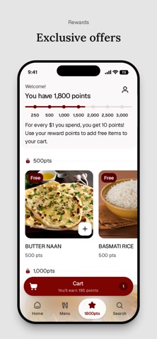 Naan Stop Curry Indian Eatery iPhone screenshot