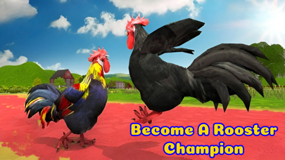 Rooster Battle-Chicken Fight Screenshot