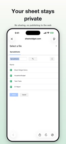 Sheet Widget: Spreadsheets Screenshot 2 of 6