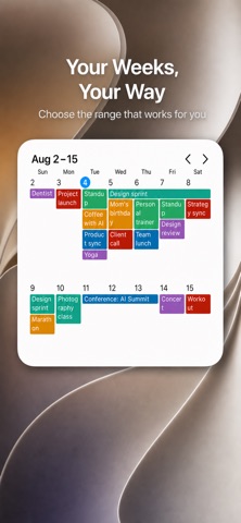 Calendar Widgets Suite Screenshot 4 of 5