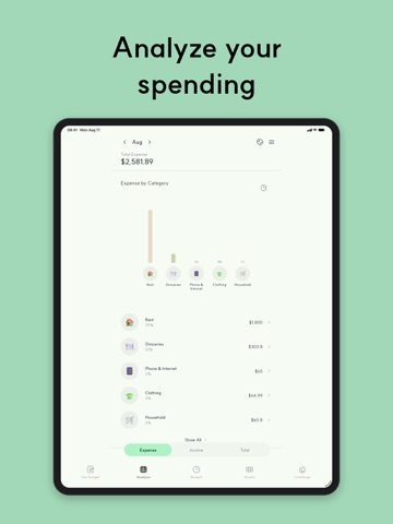 Green Ledger: Expense & Budget iPad screenshot