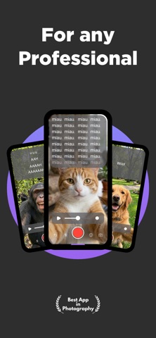 Scrollio: Skript Teleprompter screenshot