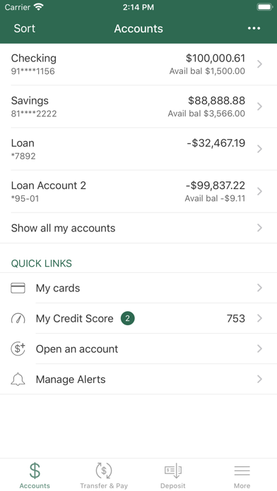 VisionBank of Iowa Screenshot