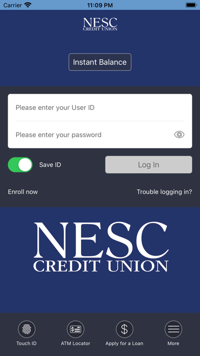 NESC Credit Union Screenshot